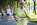 Bild Mann, sechzig Jahre, beim  Marathon  - Physiopark Regensburg