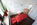 Bild - Karriere als Physiotherapeutin oder Physiotherapeut im Physiopark Regensburg